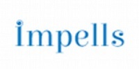 A great web designer: Impells Solutions, Miami, FL