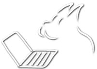 A great web designer: The Digital Rascals, Toledo, OH