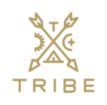 A great web designer: Tribe Interactive, San Francisco, CA