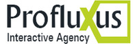 A great web designer: Profluxus Interactive - Profluxus.gr, Athens, Greece