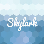 A great web designer: Skylark, Boston, MA