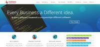A great web designer: Techcherry Software Consultancy Services Pvt. Ltd., Durg, India