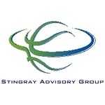 A great web designer: Stingray Advisory Group LLC, Grand Rapids, MI