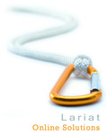 A great web designer: Lariat Online Solutions, London, United Kingdom