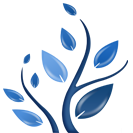 A great web designer: Lets Nurture, Los Angeles, CA