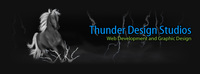 A great web designer: Thunder  Design Studios, Youngstown, OH