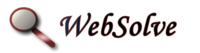 A great web designer: WebSolve, Lake Zurich, IL