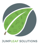 A great web designer: Jumpleaf Solutions, Singapore, Singapore
