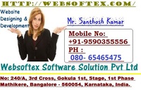A great web designer: websoftex, India, UT