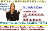 A great web designer: Websoftex Software Solution, India, UT