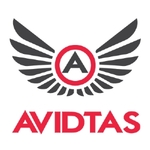 A great web designer: Avidtas Web Design, Sacramento, CA