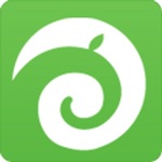 A great web designer: Fairhead Creative LLC, Florida, FL