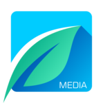 A great web designer: Icemint Media, Zaporizhzhya, Ukraine