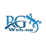 A great web designer: RG Web Solutions, Washington D.c., DC