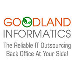 A great web designer: GoodLand Informatics, Texas City, TX