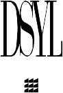 A great web designer: DSYL, Los Angeles, CA