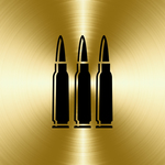 A great web designer: Digital Ammo, Chicago, IL