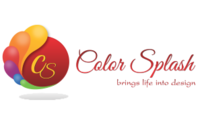 A great web designer: Color Splash, Delhi, India
