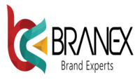 A great web designer: Branex.ca, Toronto, Canada