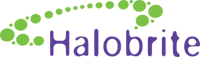 A great web designer: Halobrite, Chicago, IL