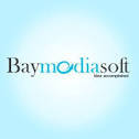 A great web designer: Baymediasoft, Van Nuys, CA