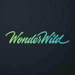 A great web designer: WonderWild, Lincoln, NE