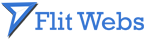 A great web designer: Flit Webs, Jaipur, India