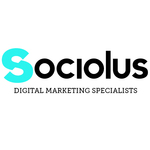 A great web designer: Sociolus, Chicago, IL