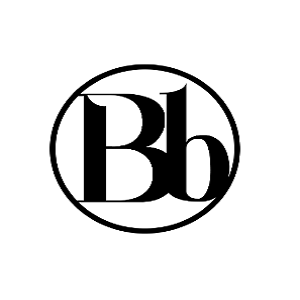 A great web designer: Blissbranding, Allentown, PA