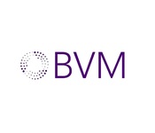 A great web designer: Brazos Valley Marketing, Houston, TX