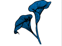 A great web designer: K. Lorraine Inc., New York City, VT