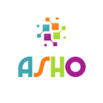 A great web designer: Asho Technologies, Chicago Heights, IL