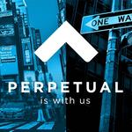 A great web designer: Perpetual Strategic Services, Dubai, United Arab Emirates