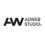A great web designer: ADWEB STUDIO Houston, Chicago, IL