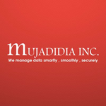 A great web designer: Mujadidia Inc, Texas, TX