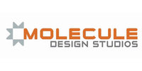 A great web designer: Molecule Design Studios, Los Angeles, CA