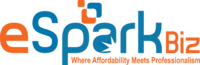 A great web designer: eSparkBiz LLC, Nyc, NY