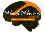 A great web designer: MindMines Infotech, Los Angeles, CA