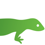 A great web designer: Green Gecko Digital, Leeds, United Kingdom