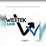 A great web designer: webtek labs pvt ltd, Kolkata, India