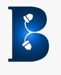 A great web designer: Branding Nuts, Hyderabad, India