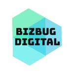 A great web designer: BIZBUG Digital, Karachi, Pakistan