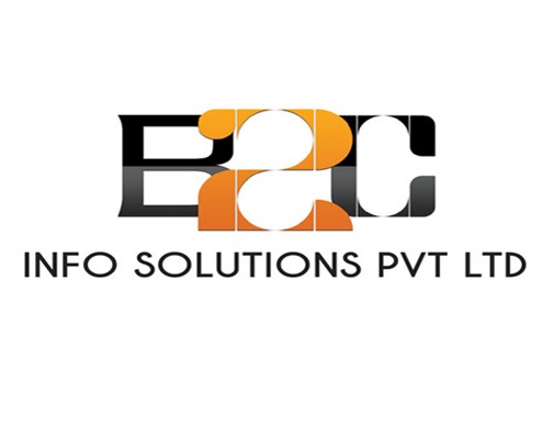 A great web designer: B2C Info Solutions , Bangalore, India
