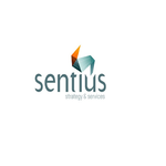 A great web designer: Sentius Strategy, Melbourne, Australia