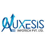 A great web designer: Auxesis Infotech, Houston, TX