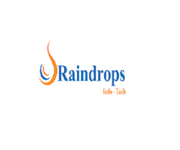 A great web designer: Raindrops Infotech, Garden Grove, CA