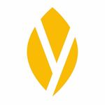A great web designer: Yellow Leaf Technologies, Ukraina, Ukraine