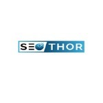 A great web designer: SEOTHOR, Haryana, India