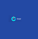 A great web designer: CronJ IT Technologies Pvt, Bangalore, India