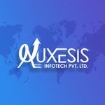 A great web designer: Auxesis Infotech, London, United Kingdom